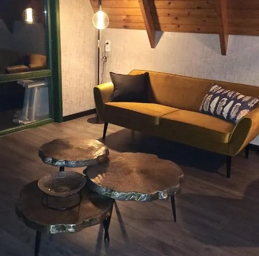 Sud-harz Onder Tatil Evi *